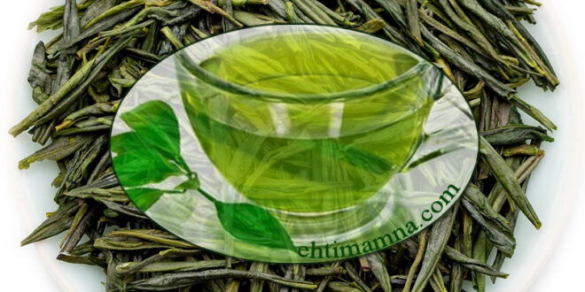 مشروب الشاي الأخضر لعلاج الجروح والحروق والالتهابات